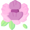开云APP logo