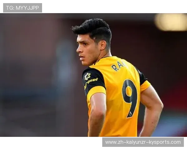 英超球员嫖妓事件回顾及联赛纪律